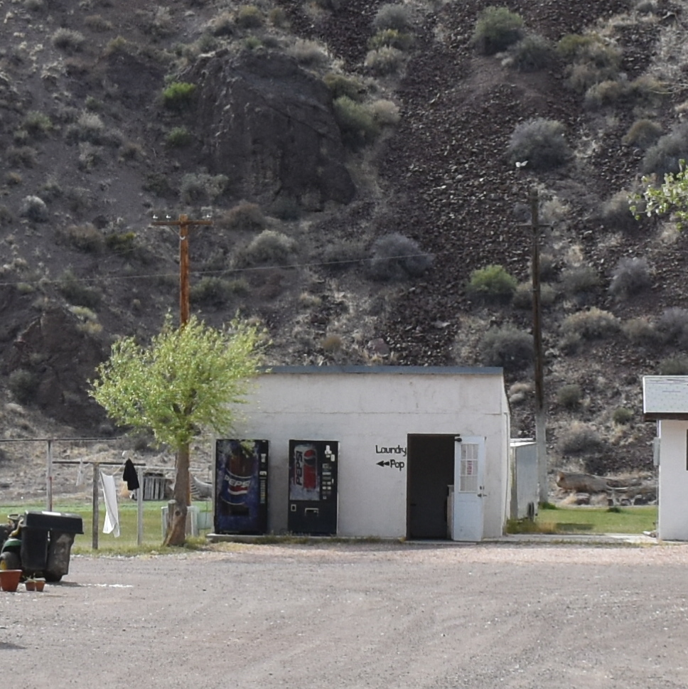 Laundry
Washers
Dryers
